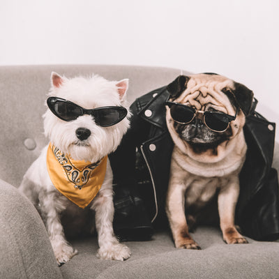 Delightfully Cute and Heartwarming Shirts