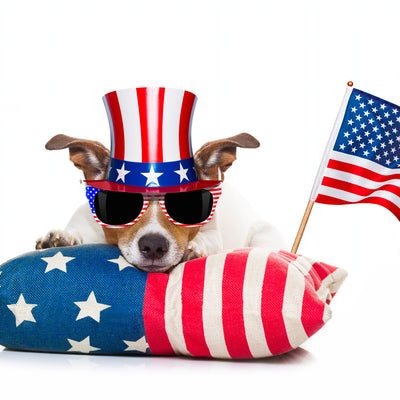 Sparkling Patriotism: Glamorous 4th of July Themed T-Shirt Collection