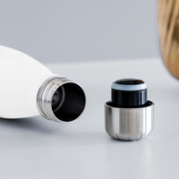 Load image into Gallery viewer, Tacosaurus T-Rex: Insulated Stainless Steel Water Bottle for Dino Taco Lover - white
