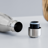 Load image into Gallery viewer, Tacosaurus T-Rex: Insulated Stainless Steel Water Bottle for Dino Taco Lover - silver
