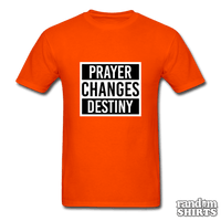 Load image into Gallery viewer, Prayer Changes Destiny - RandomShirts.com

